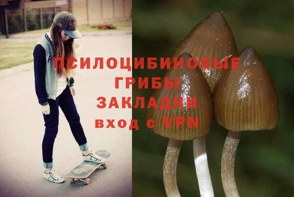 СК Арсеньев