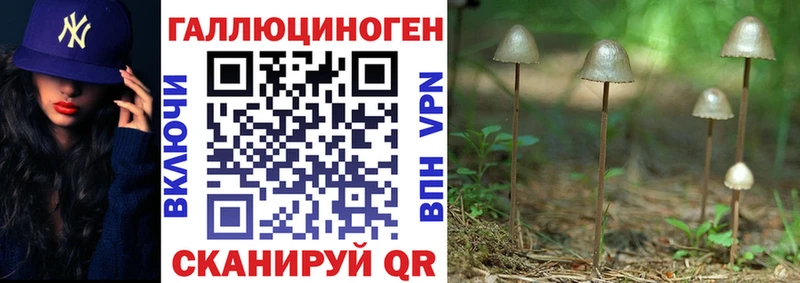 Псилоцибиновые грибы прущие грибы Гдов